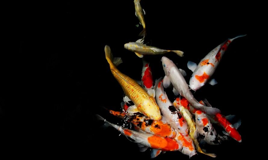 La symbolique de l’or à travers les cultures et les époques